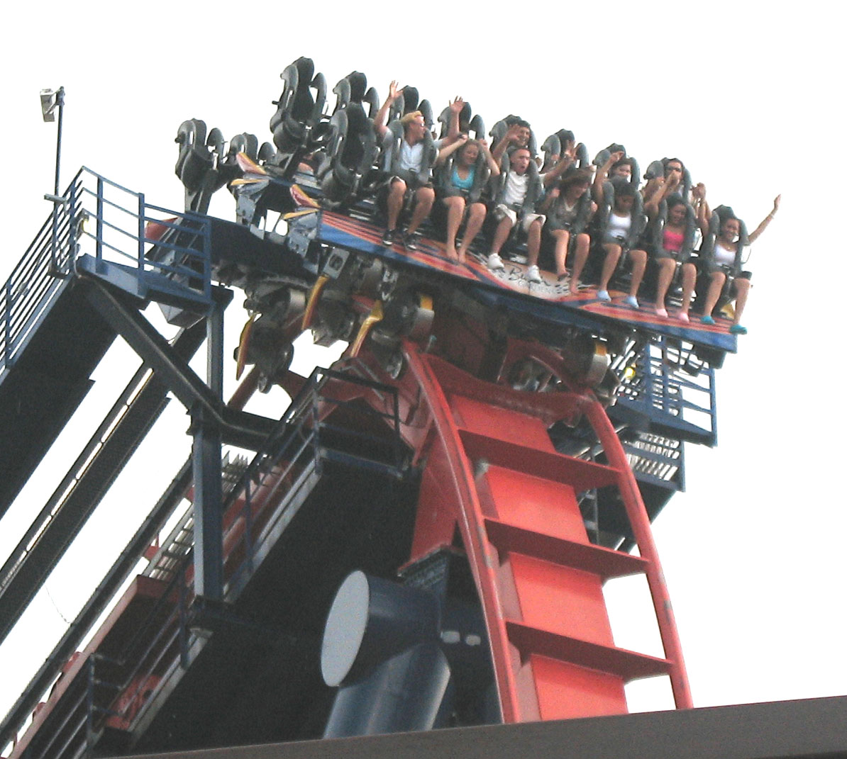SheiKra roller coaster at Busch Gardens Tampa